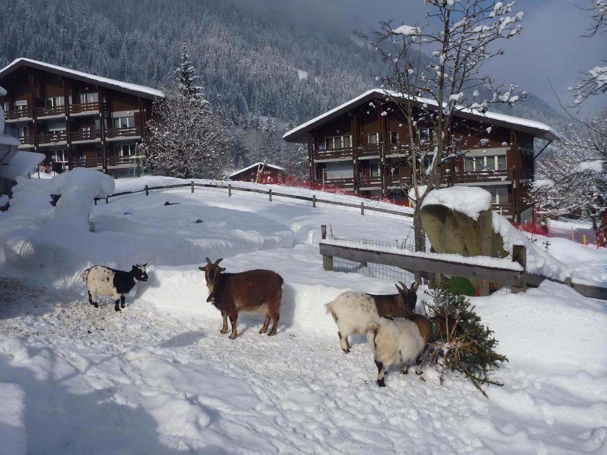 Hotel Reka-Feriendorf Lenk Esterno foto